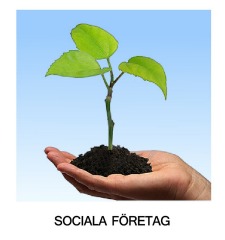 Sociala Företag